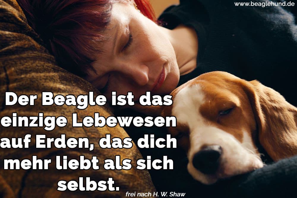 Eine Frau schläft mit ihrem Beagle