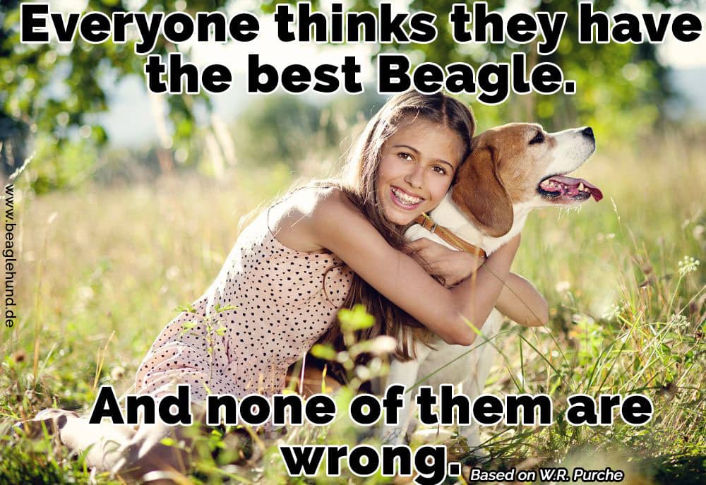 Eine Frau umarmt ihren Beagle