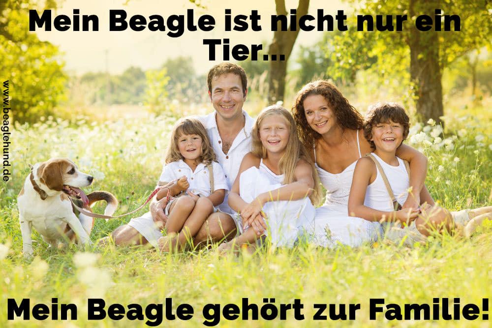 Eine Familie und Ihr Beagle auf Rasen