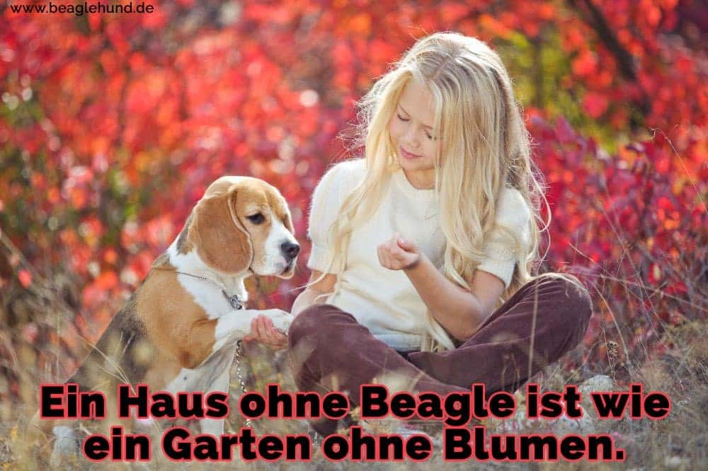 Ein Mädchen mit ihrem Beagle im Garten