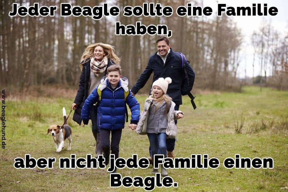 Eine Familie zu Fuß mit Ihrem Beagle im Garten