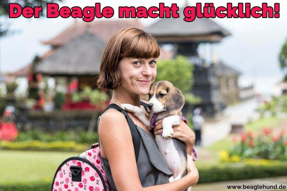 Eine Frau umarmt ihren Beagle im Park