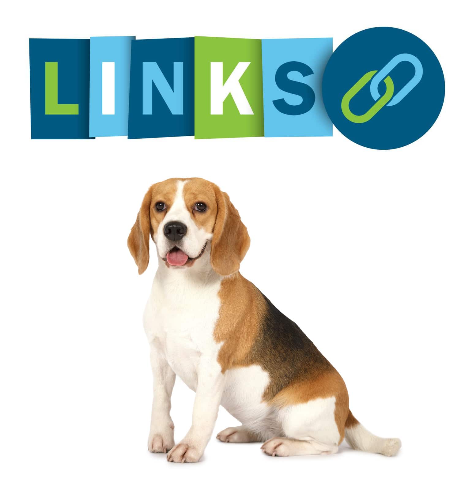 Interessante Web-Links zum Beagle Hund